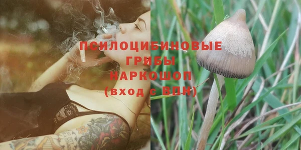 круглые Алексин