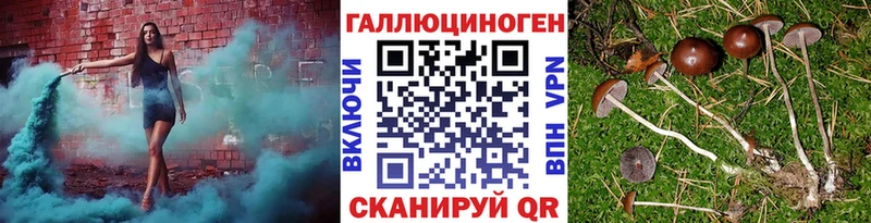Псилоцибиновые грибы Magic Shrooms  kraken зеркало  Нефтекумск 